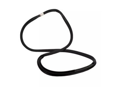 Ford KL3Z-16253A10-A Weatherstrip On Body