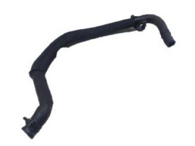 Ford 5S4Z-3691-AA Reservoir Hose