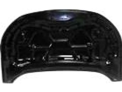 Ford FT4Z-16612-A Hood