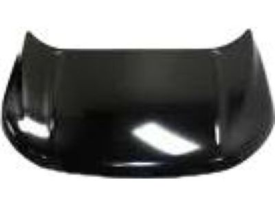 Ford FT4Z-16612-A Hood