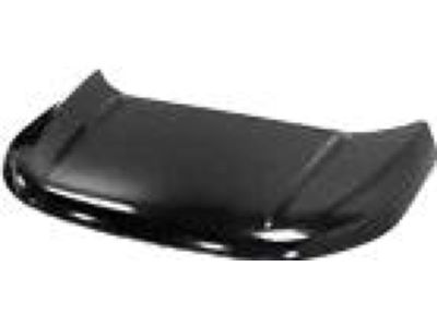 Ford FT4Z-16612-A Hood