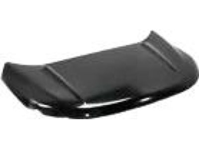 Ford FT4Z-16612-A Hood
