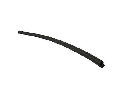 Ford 7L1Z-7825355-A Front Weatherstrip