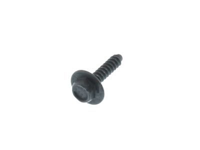 Ford -W705314-S424 Radio Screw