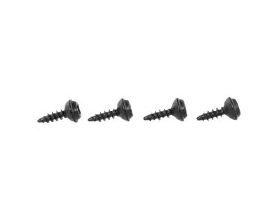 Ford -W707496-S437 High Mount Lamp Screw