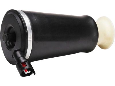 Ford 6W1Z-5560-BA Air Spring