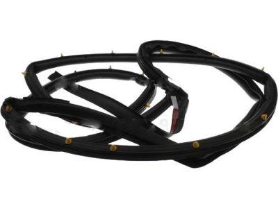 Ford CE8Z-58253A10-F Door Weatherstrip