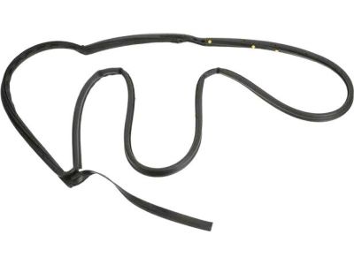 Ford CE8Z-58253A10-F Door Weatherstrip
