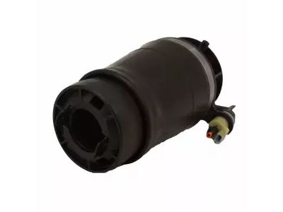 Ford 6L1Z-5A891-AA Air Spring