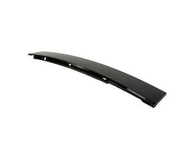 Ford 1L2Z-7820555-AAA Upper Molding