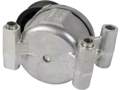 Ford 9L8Z-6A228-A Serpentine Tensioner