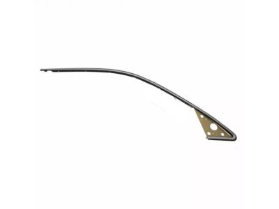 Ford F8VZ-5420846-AA Window Molding
