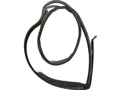 Ford 9E5Z-5425325-A Door Weatherstrip