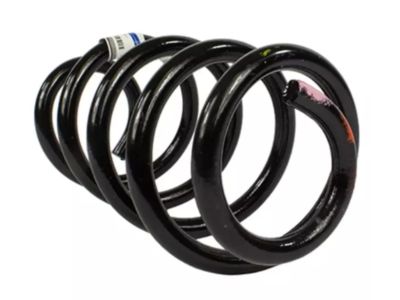 Ford CK4Z-5310-D Spring - Front