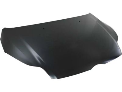 Ford CP9Z-16612-B Hood