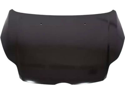 Ford CP9Z-16612-B Hood