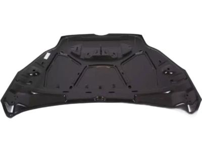 Ford CP9Z-16612-B Hood