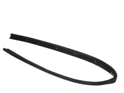 Ford EJ7Z-16B990-A Front Weatherstrip