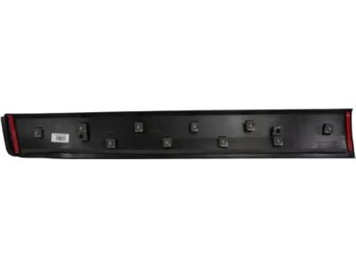 Ford CN1Z-9920878-DA Side Molding