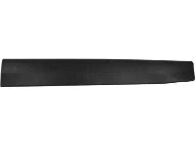 Ford CN1Z-9920878-DA Side Molding
