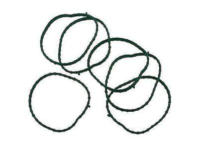 Ford 5F2Z-9H486-AA Plenum Gasket