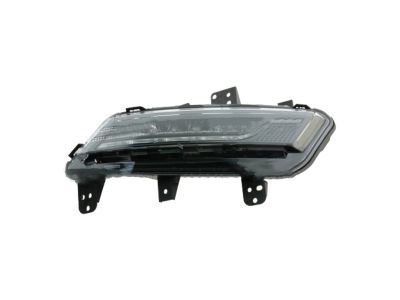 Ford DP5Z-15A201-D Fog Lamp Assembly
