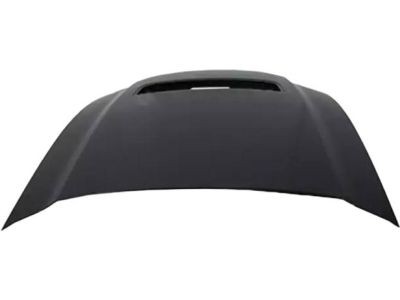 Ford AR3Z-16612-A Hood