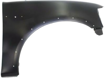 Ford 2L3Z-16005-AA Fender