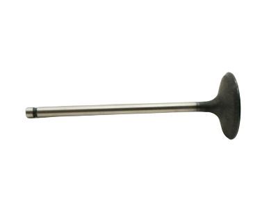 Ford 3S4Z-6507-AA Intake Valve