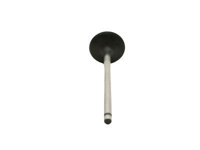 Ford 3S4Z-6507-AA Intake Valve