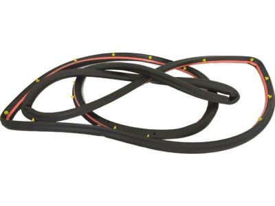 Ford AM5Z-5820709-B Door Weatherstrip
