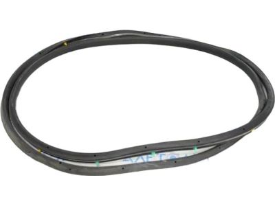 Ford AM5Z-5820709-B Door Weatherstrip