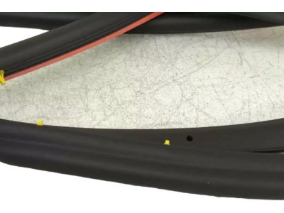 Ford AM5Z-5820709-B Door Weatherstrip