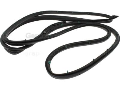 Ford 7T4Z-7820555-AA Rear Molding