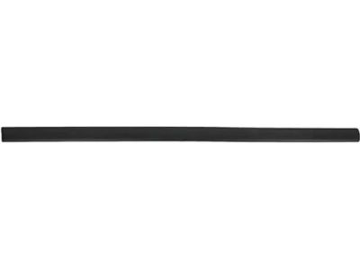 Ford 4F2Z-1720879-CAPTM Body Side Molding