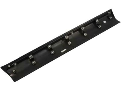 Ford BA1Z-7820878-A Lower Molding