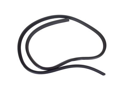 Ford CV6Z-5825324-A Body Weatherstrip