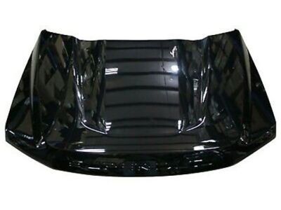 Ford HC3Z-16612-A Hood