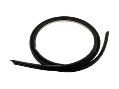 Ford DA1Z-7820708-AA Weatherstrip On Body