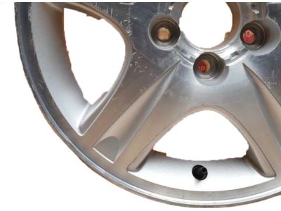 Ford YF1Z-1007-BA Wheel, Alloy