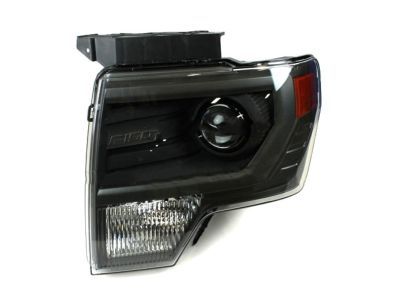 Ford DL3Z-13008-CB Composite Headlamp