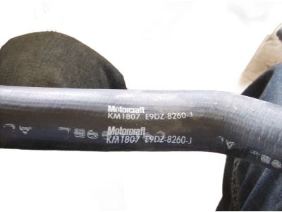 Ford E9PZ-12259-P Cable Set