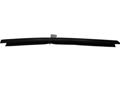 Ford 8L8Z-7825860-B Belt Weatherstrip