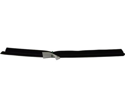 Ford 8L8Z-7825860-B Belt Weatherstrip