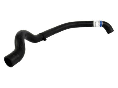 Ford CK4Z-8260-F Upper Hose
