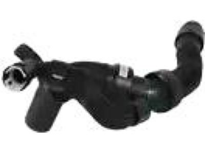 Ford DB5Z-8286-H Lower Hose