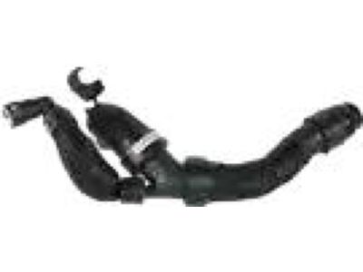 Ford DB5Z-8286-H Lower Hose