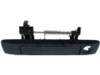 Ford AB3Z-2143400-AC Handle