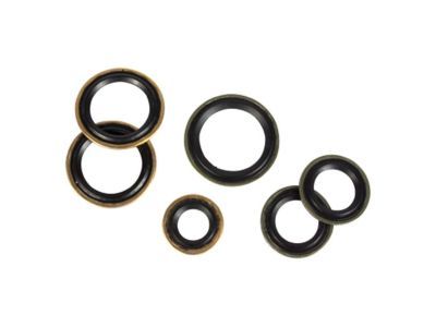 Ford DR3Z-19B596-A AC Tube O-Ring