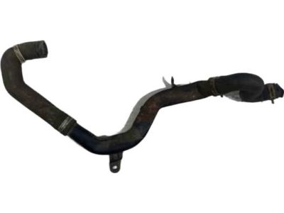 Ford YS4Z-8286-CA Lower Hose